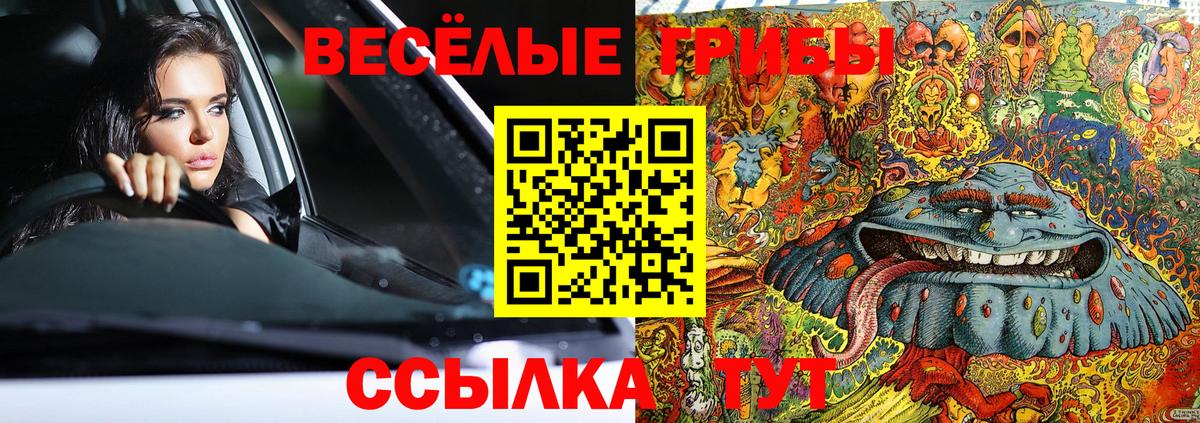 Псилоцибиновые грибы мицелий Шахты