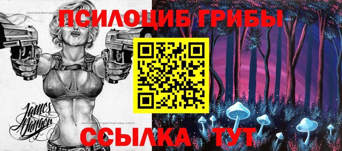 Шахты  Галлюциногенные грибы мицелий  Вход с VPN 
